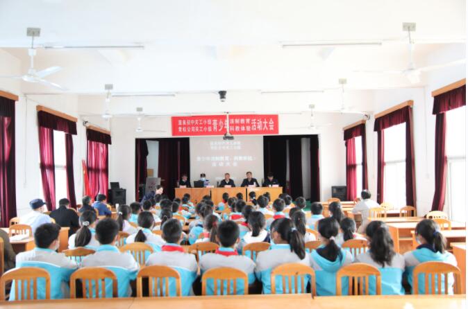 2025年免费资料免费阅读